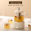 Wutuo Smart Glass Health Pot