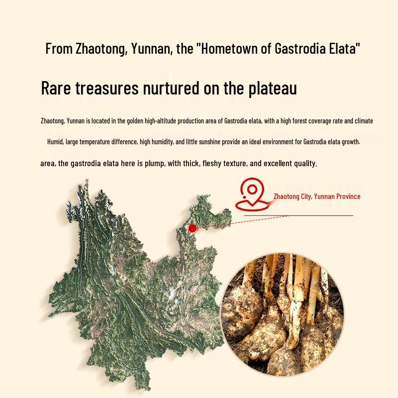 Tongrentang Gastrodia Elata Slices