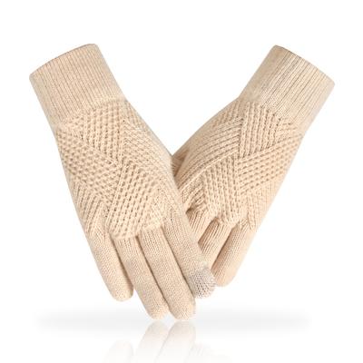Neue Damen Touchscreen-Handschuhe Verdickte Strickhandschuhe Warm und Kältebeständig Einfache Plüschgarn-Handschuhe Touchscreen