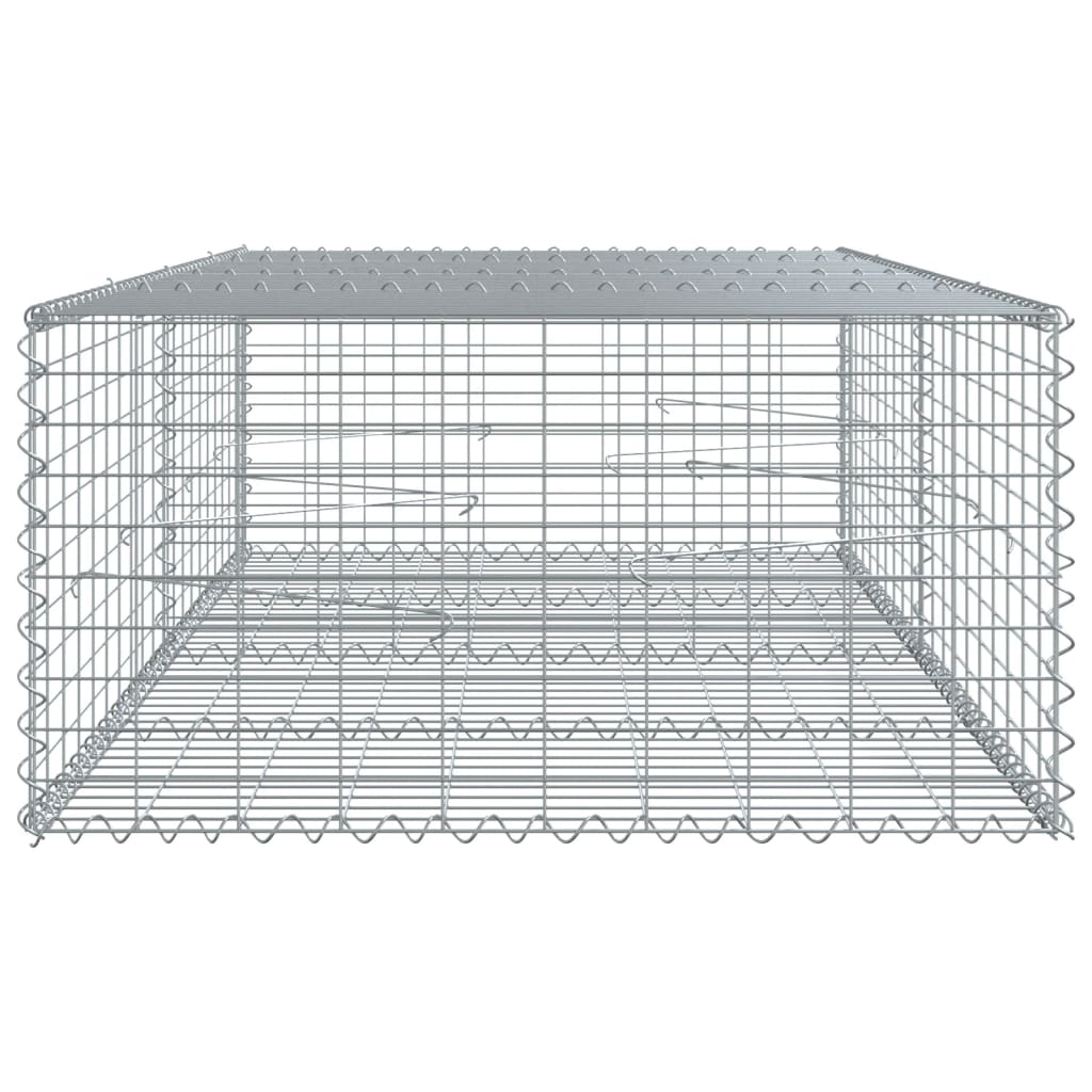 Gabion with Lid 200x100x50 Cm Galvanized Iron