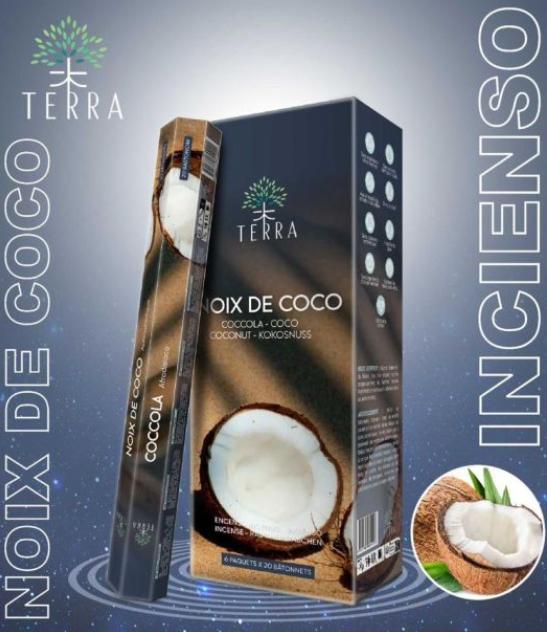 Terra cocco incenso 20 pezzi. cannella