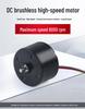 Silent High-Speed 24V/12V DC Brushless Motor, 3525 Hall Drive, Adjustable Speed, High-Power Miniature Model