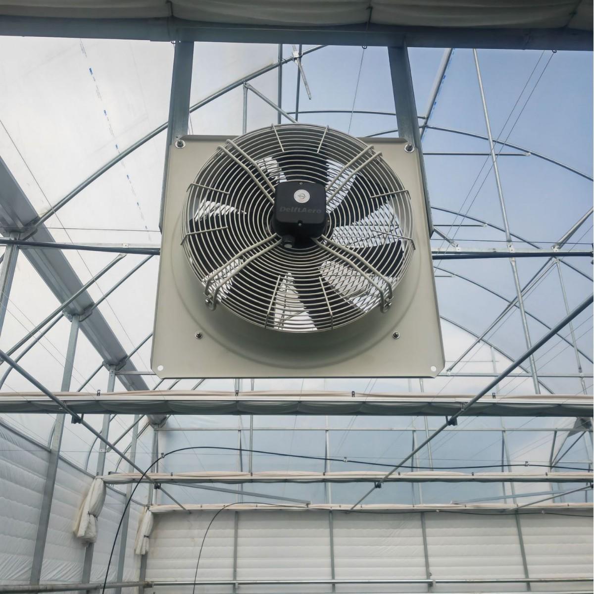 Stainless Steel Axial Flow Greenhouse Fan for Large Air Volume Ventilation and Indoor Circulation