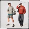 Li Ning BADFIVE Sweatshirts Men's Rugged Brown Gray Hooded Thickened Regular AWDV877-6