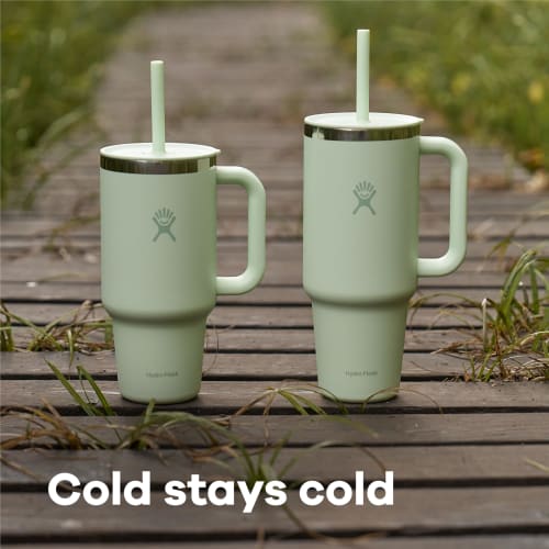 All Around Travel Tumbler, 32oz (946ml), Agave, Insulated, Straw, Handle (Authentic Japanese Product)