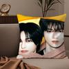 KKorean boy band RRIIZEs Pillow Case Silky elegant Comfort Sofa Bed Invisible zipper