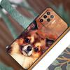 Cartoon Chihuahua Dog For OPPO A58 A78 A98 A54 A74 A94 A16 A76 A96 A5 A9 A52 A72 A79 A53S A15 A17 A57 A77 Case