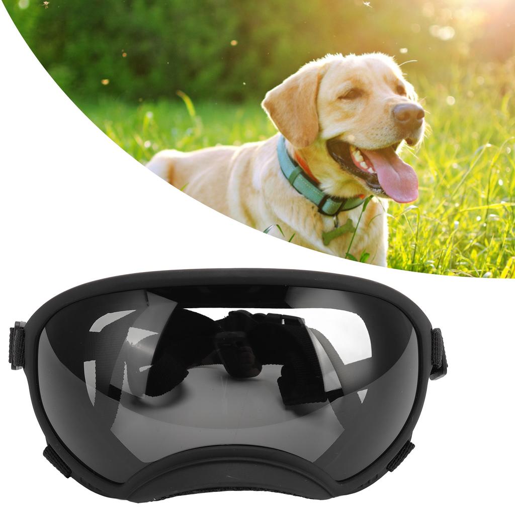 Dog Goggles Windproof Ultraviolet Proof Dustproof Strap Dog Sunglasses for Large Breed