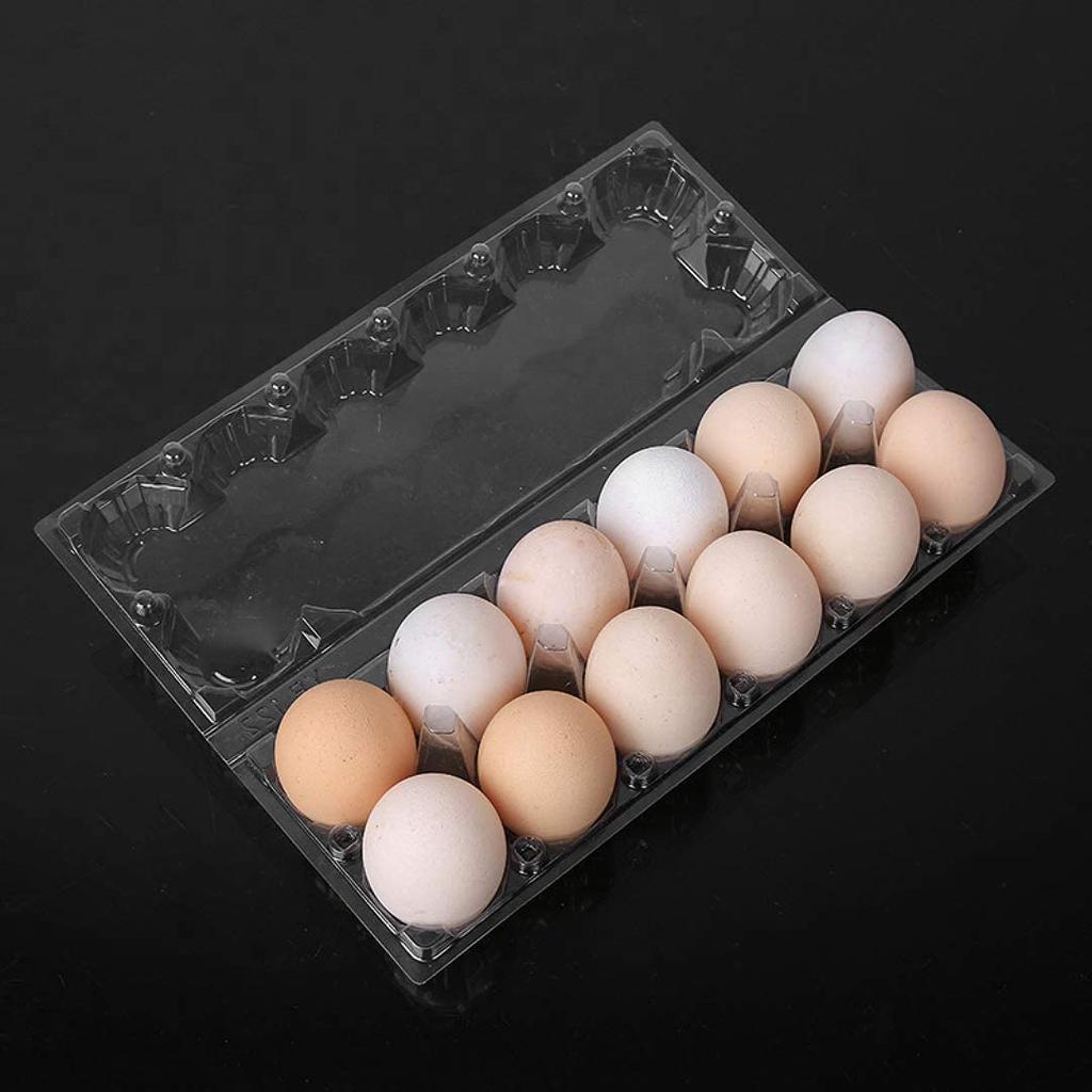 24Pcs Plastic Egg Cartons Bulk Clear Chicken Egg Tray Holder for Family Pasture Chicken Farm Business Market- 12 Grids