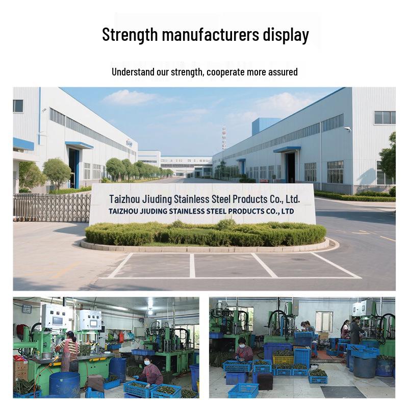 304 Stainless Steel Precision Threaded Pipe Fittings and Non-Standard Cast Hardware