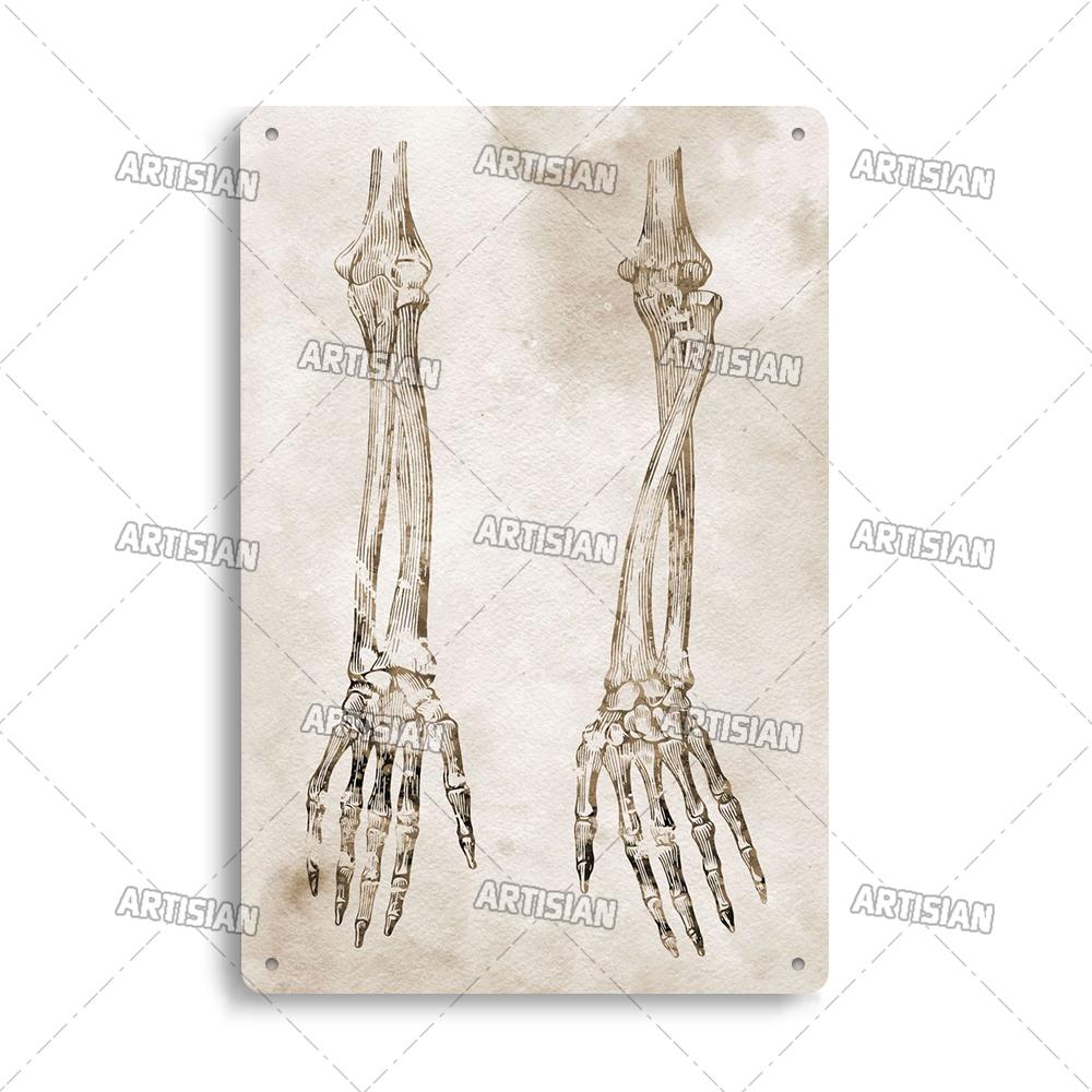 Placca Metallica Artigianale Clinica Dentista Cartello in Latta Anatomia Piatto Decorativo Medico Ospedale Chirurgia Dente Organo Ossa Nervo Cervello