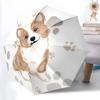 Accesorii – Umbrele