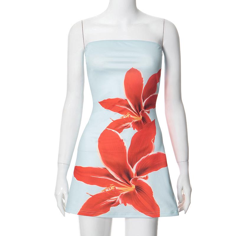 European & American Women's Summer Floral Tube Top Dress: Slim, High-Waist, Casual Fit