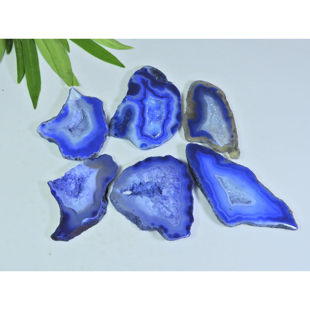302Cts. Dyed Slice Druzy Agate Fancy Cabochon Loose Gemstone 6 Pcs Lot A-37