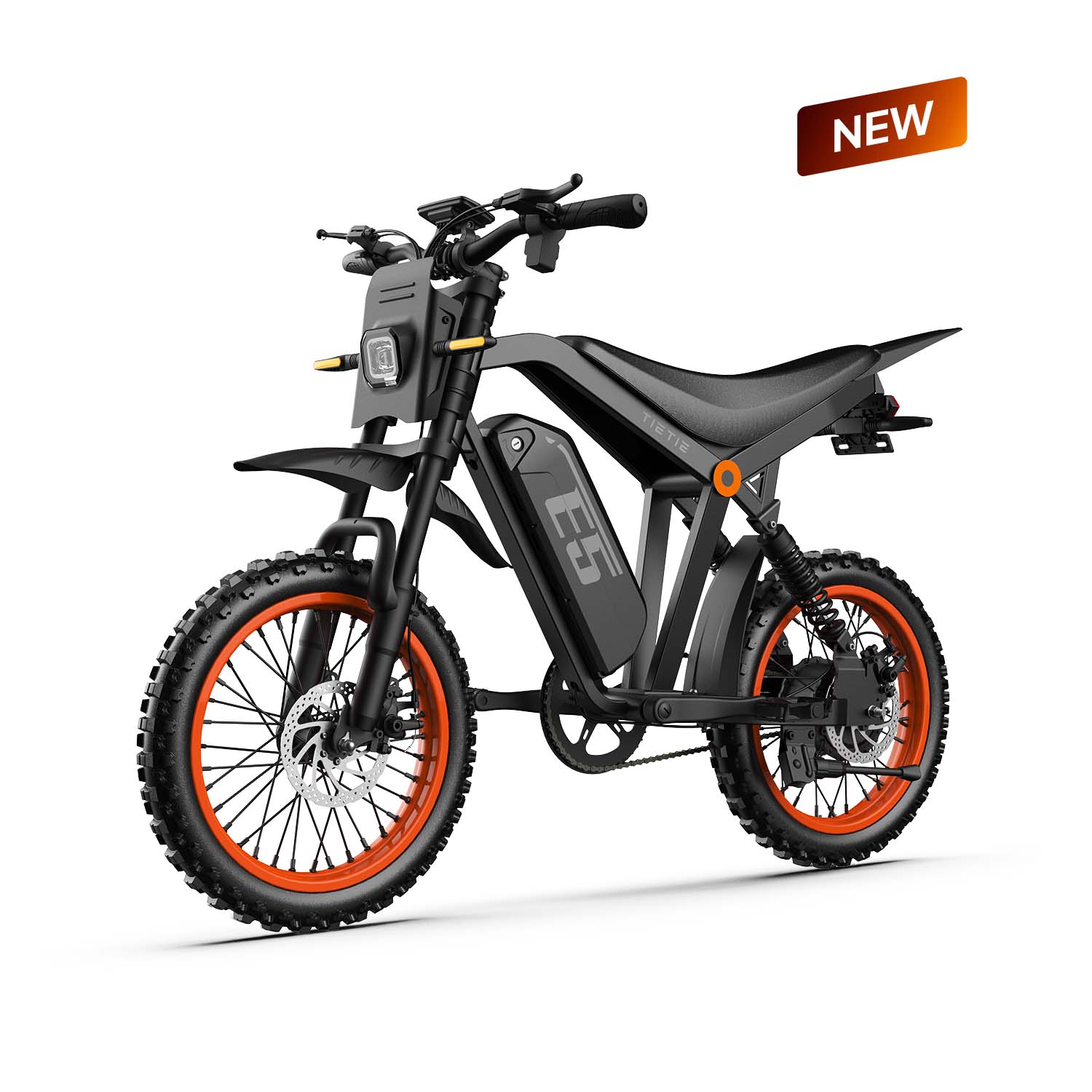 URLIFE E5 Adult Electric Bicycle 750W