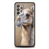 Animal Camel Phone Case for Samsung Galaxy A55 A35 A15 A14 A13 A25 A54 A51 A71 A72 A73 A32 A52 A41 5G Soft TPU Shell Fundas Bags