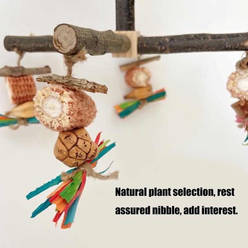 Bird Perch Nature Molar Stand for Parrots Conure Supplies Budgies Grinding Scratchers for Small Medium Parrots Toy