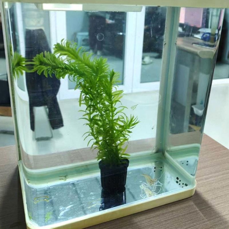 16pack Hydroponic Planting Basket Soilless Cultivation Net Pot Pot Cup for Home and Commercial Aquariums