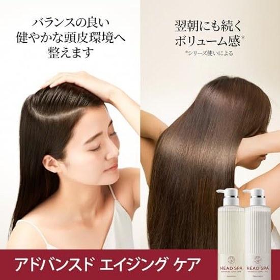 hs Deep Head Spa Advanced Aging Care Shampoo Treatment Pump Set 435g + H S