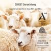 Jingdong Zhizao 100% Dorset Gold Label Mercerized Wool Winter Quilt