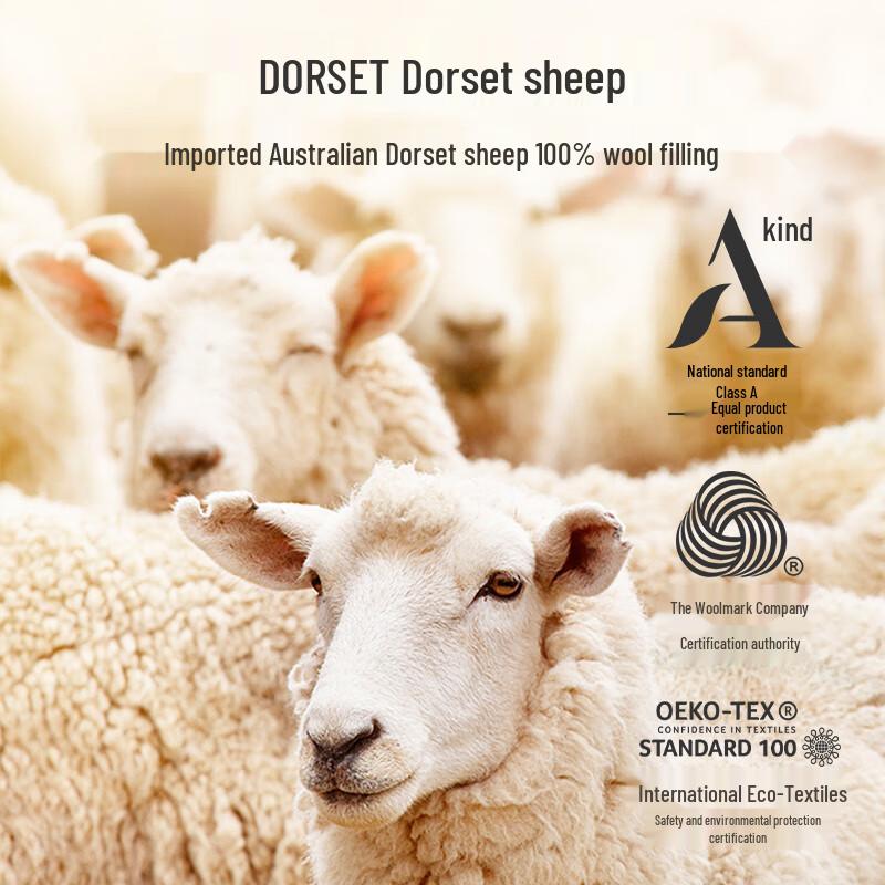Jingdong Zhizao 100% Dorset Gold Label Mercerized Wool Winter Quilt