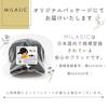 Mirasic Baseball Cap Gray TN-BACP