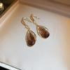 Korean Crystal Teardrop Earrings with Luxury Ear Hooks