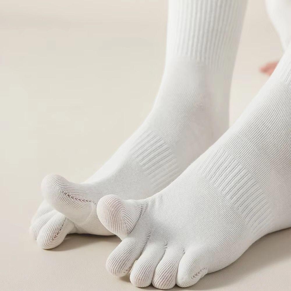 Thin Five Finger Socks Short Tube Cotton Toe Socks Low Cut Ankle Sports Socks  Sport