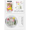 Natural Dried Flowers Pack For Diy Resin Pressed Flower Art