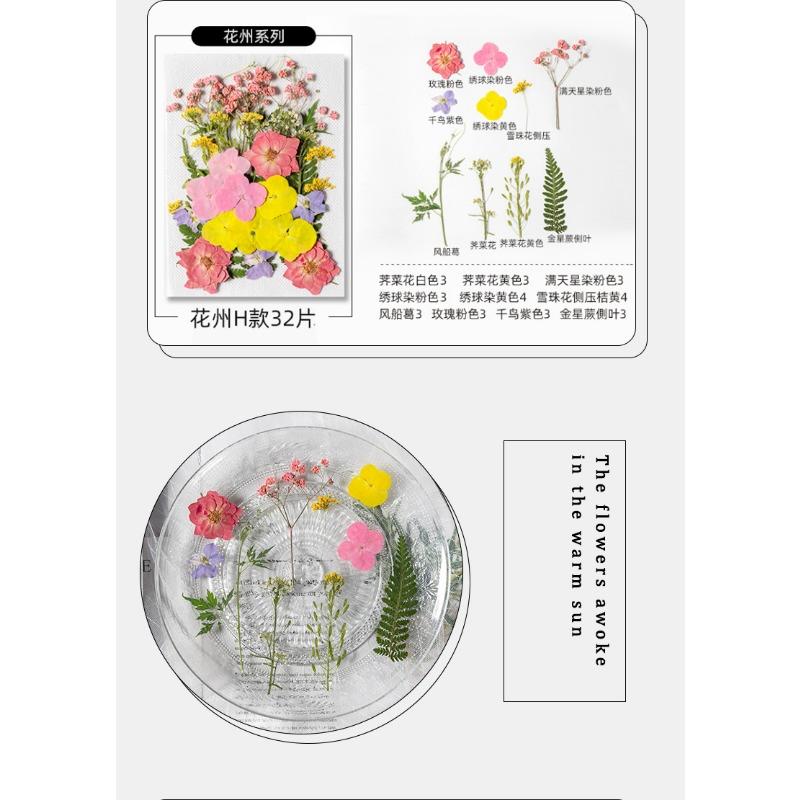 Natural Dried Flowers Pack For Diy Resin Pressed Flower Art