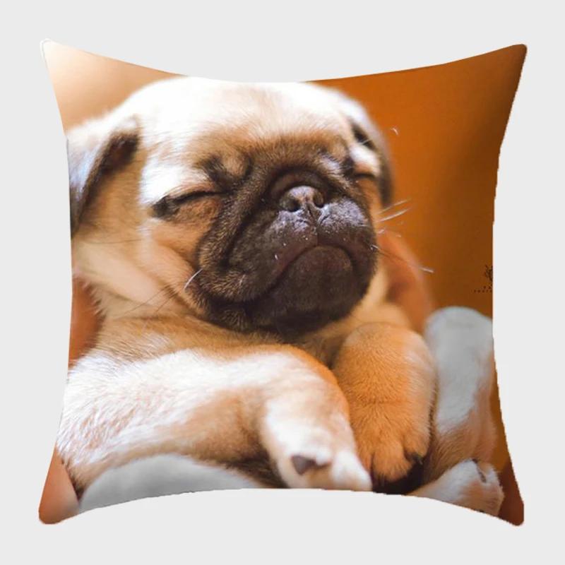 Bulldog Polyester Cushion Cover Modern French Bulldog Pillowcase Sofa Throw Pillow Cover Decorative Pillowcase For Couch Bed Car