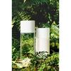 Seikisei Clear Wellness (Reizarm-Formel) Pure Conk Kit Lotion 200ml + Nachfüllpackung 170ml Set Farblos
