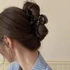 Acrylic Wave Grab Clip for Women 2025 New High-end Hair Clip Large Hair Volume Large Shark Clip Back of the Head Clip