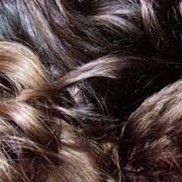 

CD THANK YOU - World City WFWF02 Wildfire Wildfi 2007 US Dance & Electronica Used