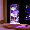 LED Enchanted Galaxy Rose Eternal 24K Gold Foil Flower With String Lights In Dome For Home Decor Christmas Valentine's Day Gift