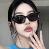 New Fashion Summer Retro Cat-Eye Sunglasses UV400 Shades Small Triangle Glasses Simple High-Quality Street Style Sun Glasses