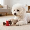 Köpek Çiğneme Çubuğu Kemik Şekilli Kauçuk İnteraktif Köpek Çiğneme Oyuncağı Ödül Dağıtıcı Oyuncak Küçük Orta Boy Köpekler İçin Diş Temizleme Eğitim