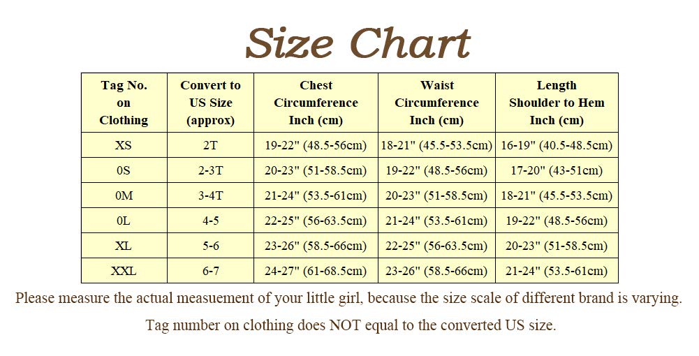 Kids Girls Snow Princess Ballerina Costume Skirt Cosplay Costume Age 2 [Dressy Daisy]