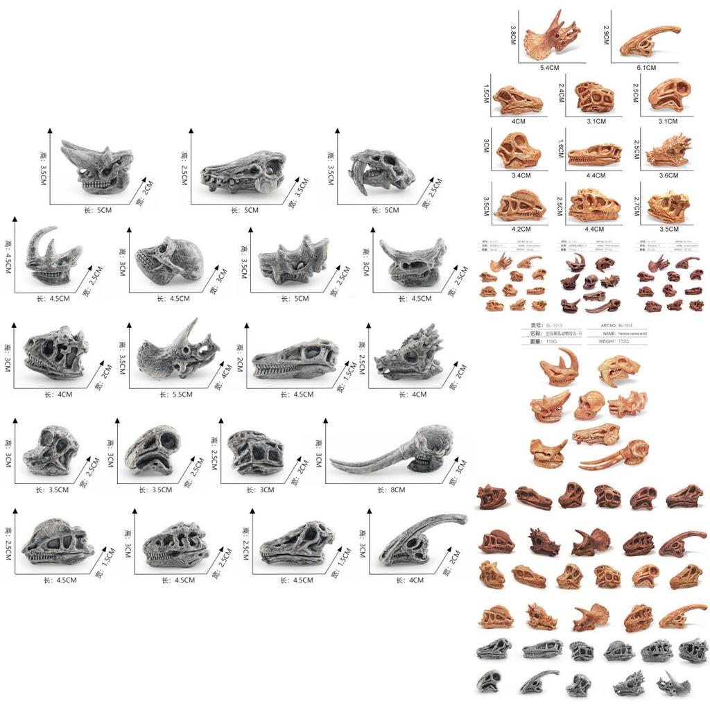 Realistic Jurassic Dinosaur Skull Model Toy For Kids Educational Archaeology Fun