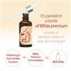 Witch Piggy Hell-Pore Bifida Premium Ample 50ml