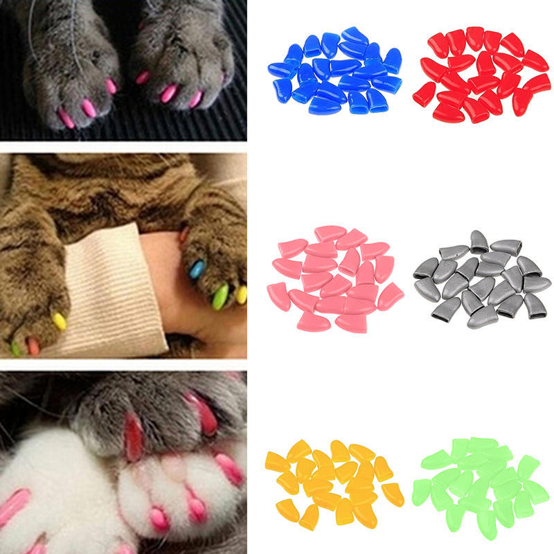 soft paws glue