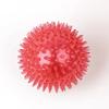 Pet Dog Toys Cat Puppy Sounding Toy Polka Squeaky Tooth Cleaning Ball TPR Training Pet Denti da masticare Giocattolo Thorn Balls Accessori