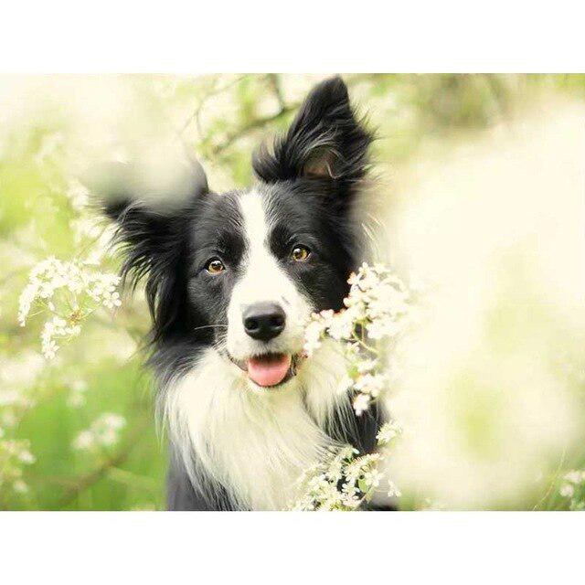 DIY 5D diamantová malba pes Křížkový steh Diamantové vyšívání Prodej Zvířecí mozaika Kamínky Obrázky