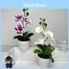 Realistic Butterfly Orchid  Green Plants Potted For Indoor Decorations