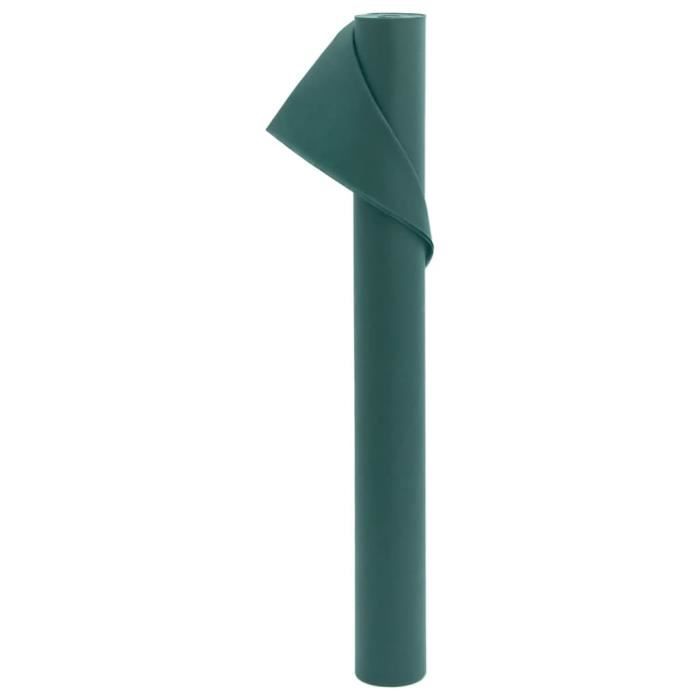 VidaXL Toison végétale 70 g-m² 10x1,6 m 364861