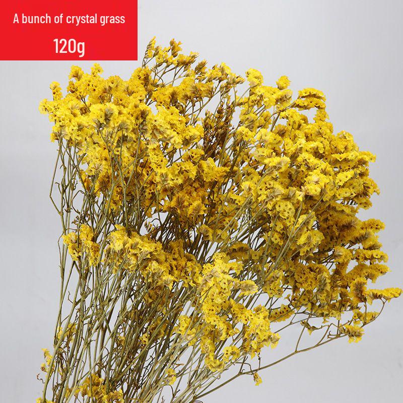 Preserved Eucalyptus & Sunflower Bouquet with Baby's Breath and Reeds – Perfect for Living Room Decor or Photography
