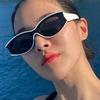 New Vintage Cat Eye Sunglasses Small Frame Retro Sunglasses Color contrast Protection Eyewear Fashion Trendy Streetwear Eyewear