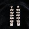Silver Needle Rhinestone Water Drop Tassel Stud Earrings - Exquisite High-end Light Luxury Ear Jewelry
