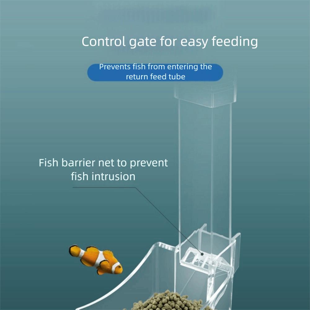 Transparent Shrimp Feeding Device Acrylic Aquarium Feeder Tube  for Shrimp Fishes Snail