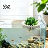 Home Office Aquarium Plant Decor 3D Printed Floating Holder, Water Hydroponic Planter Basket, Pot, Fish Tank Aquascape Decoration for Plants No Drill